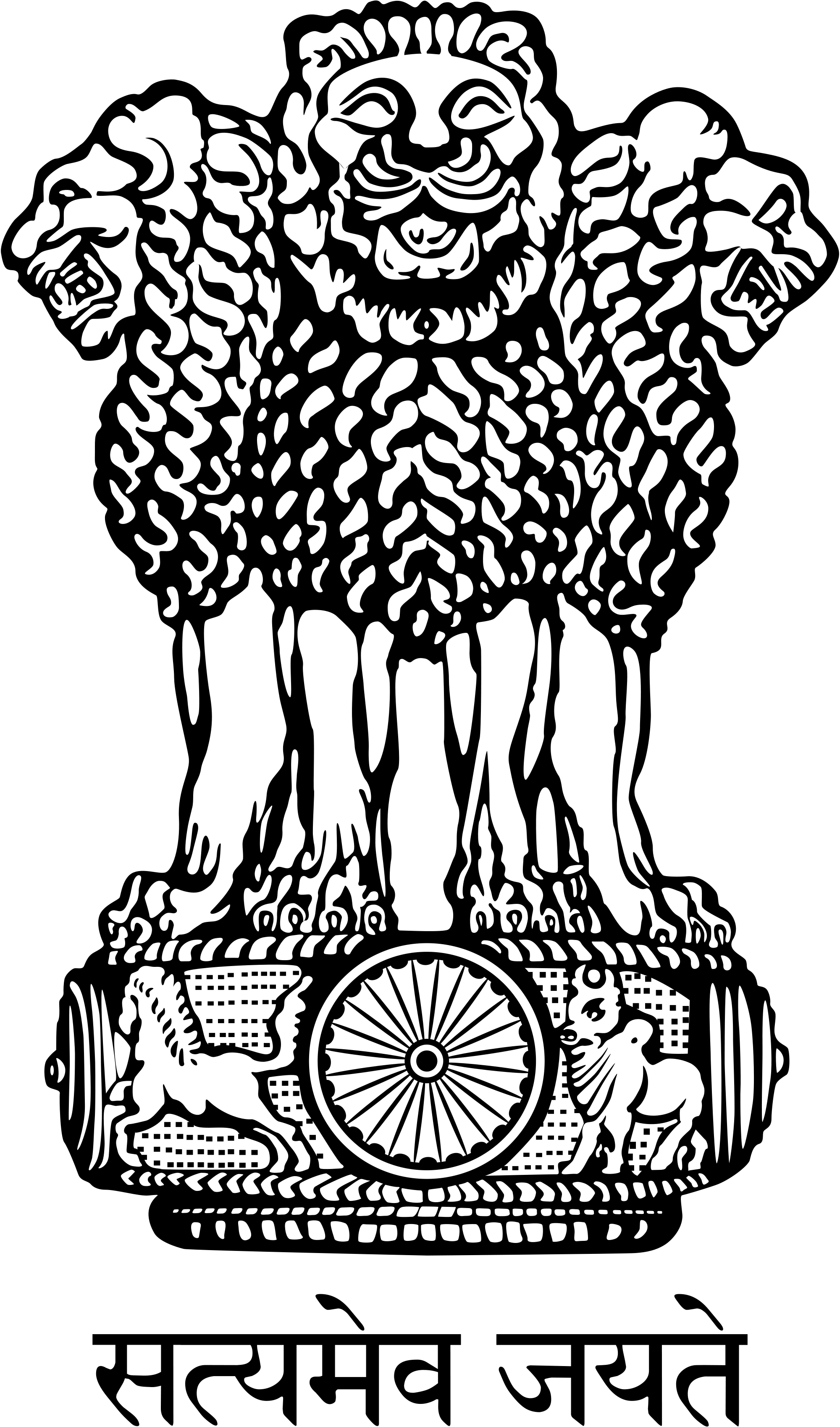 Sponsor 54